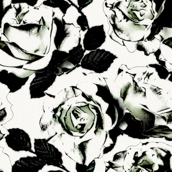 Black and White Roses - Canvas Print