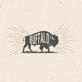 Buffalo - Canvas Print